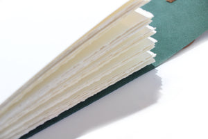 The Watercolour Journal / Sketchbook